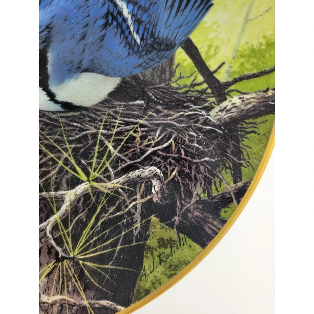 AUDUBON rudisill bluejay